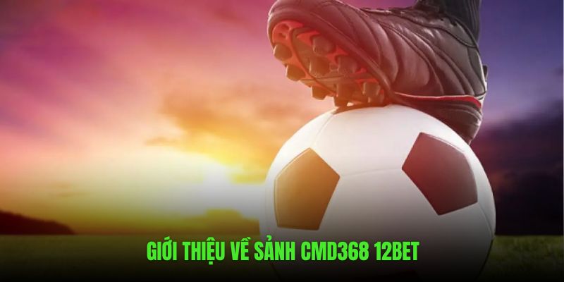 Những nét chính giới thiệu về CMD368 12BET