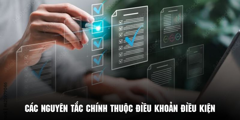 Tìm hiểu những nguyên tắc chính thuộc điều khoản và điều kiện 12BET